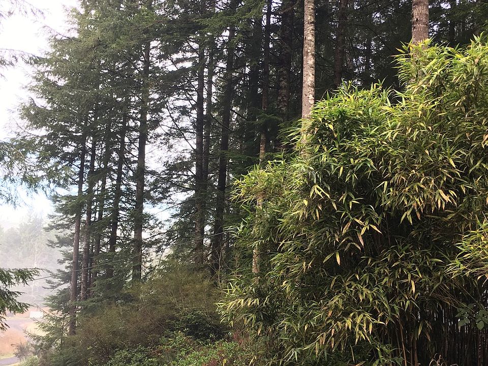 2nd image of 95426 Mattson Ln