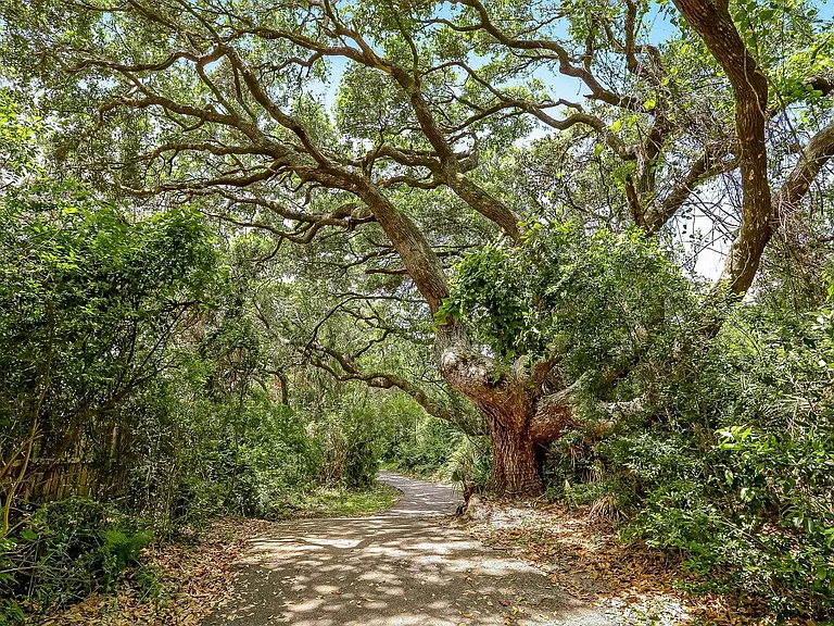 1786 Mariners Walk — Photo 42
