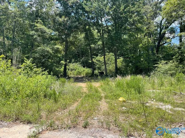 1360 Warrenton Rd, Guntersville, AL 35976