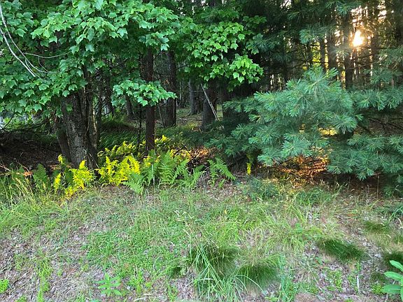 2nd image of Horseshoe Lake Road