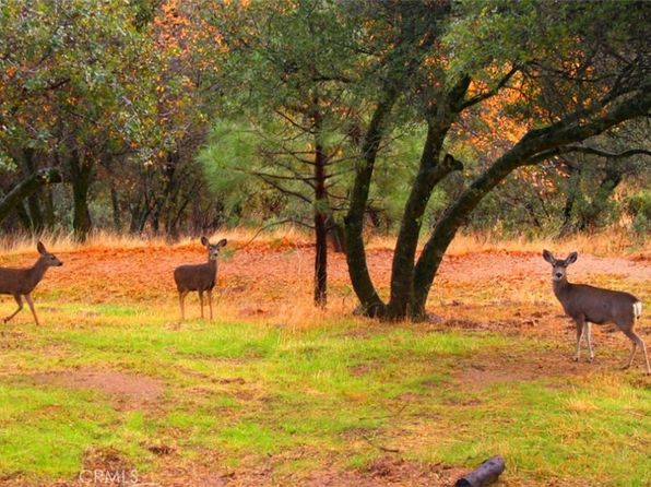1778 Revis Rd #1778, Coarsegold, CA 93614