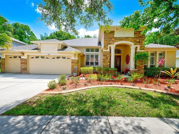 6627 Thornton Palms Dr, Tampa, FL 33647