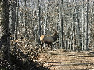 2nd image of Co Road 407