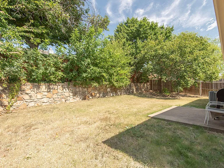 Backyard_3