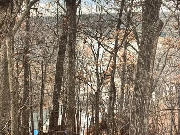 LOT 36 Pheasant Cir, Afton, OK 74331