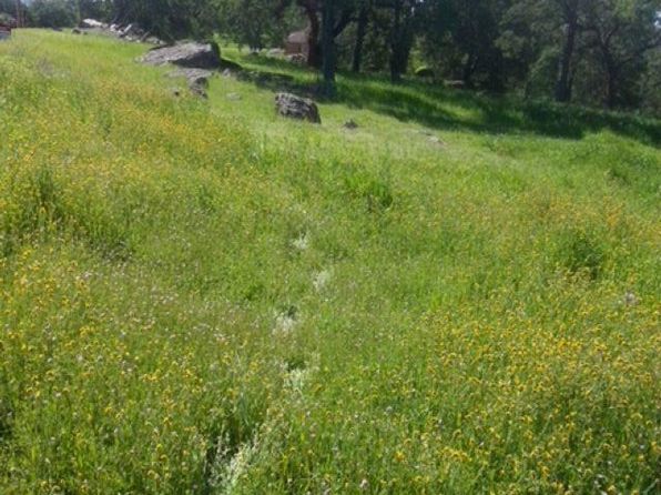 56 Deer Hollow, Browns Valley, CA 95918