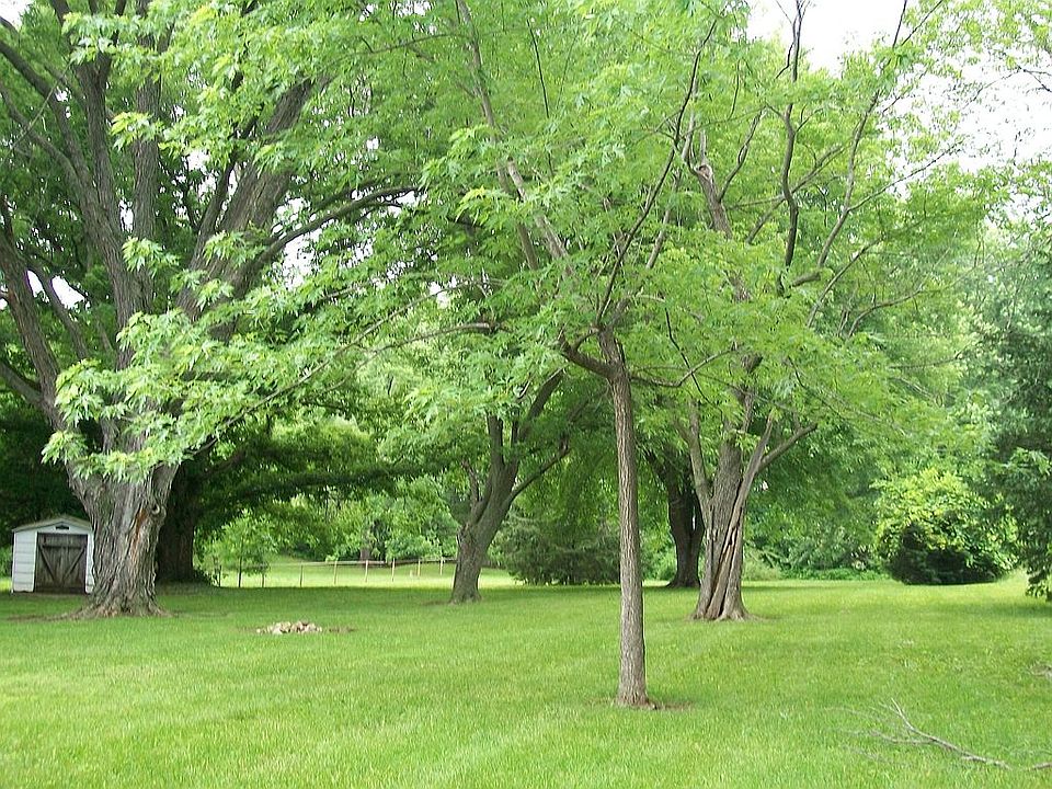 2nd image of 5012 Yecker Ave