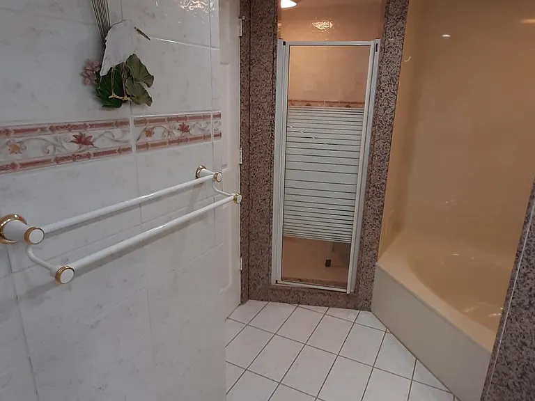 Master Bathroom Shower Door and Roman Tub