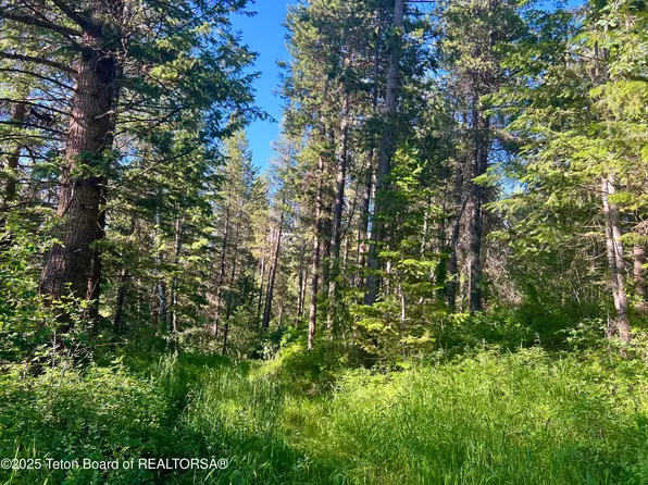 190 Wolverine Way, Tetonia, ID 83452