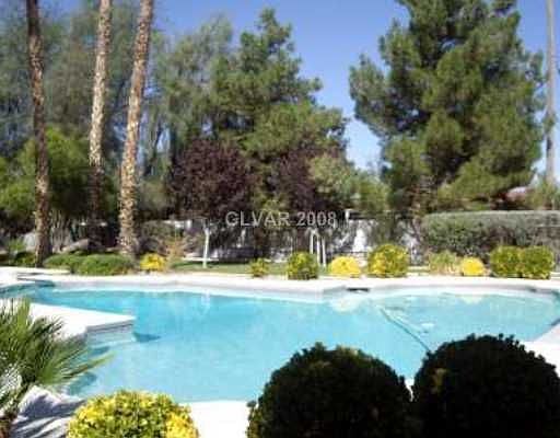 Backyard paradise