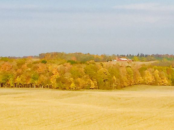Fall view from back deck