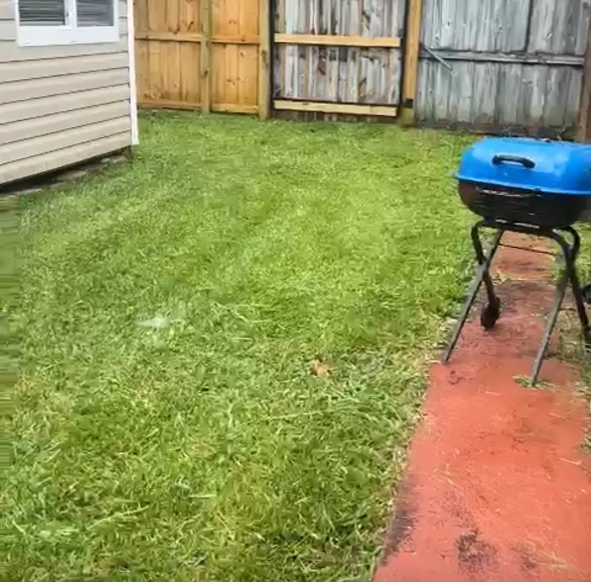 3 bed, 880 sqft, $2,500 — Photo 4