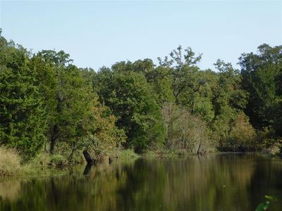 16 Loper Dr #L, Streetman, TX, 75859