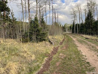 Lot 2610 Lux Lane, Fort Garland, CO, 81133
