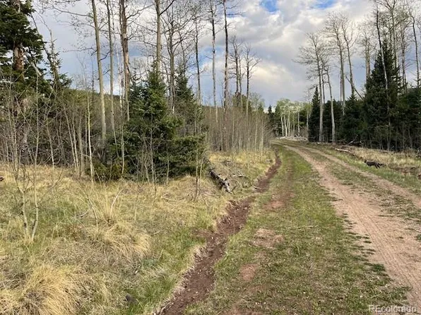 Lot 2610 Lux Lane, Fort Garland, CO 81133