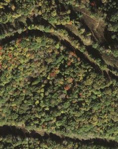 0 Wilson Creek Rd, Grayson, KY, 41143