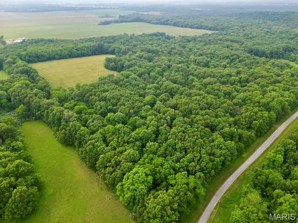 0 County Road 300 E, Dahlgren, IL 62828
