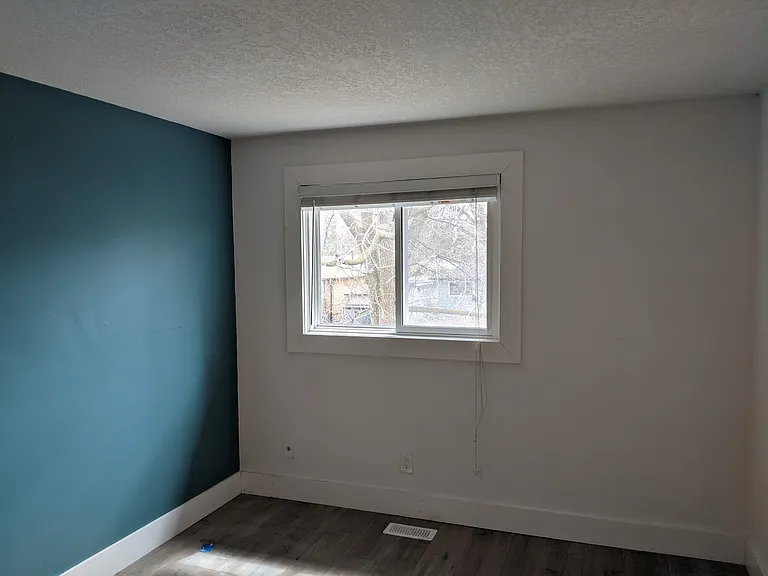Bedroom #2 has accent wall and closet organizer.