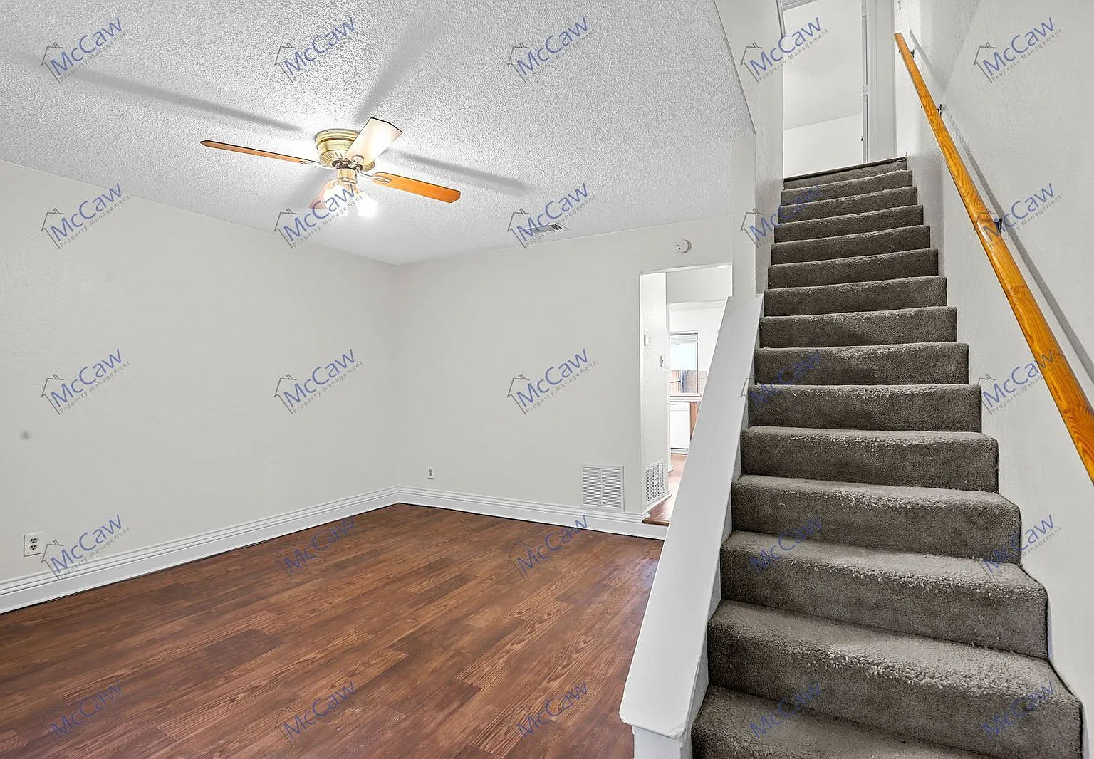 800 Bluebonnet Dr — Photo 4