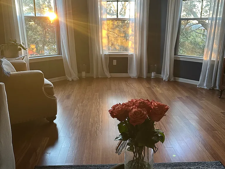 4207 S Dale Mabry Hwy #1303 — Photo 5