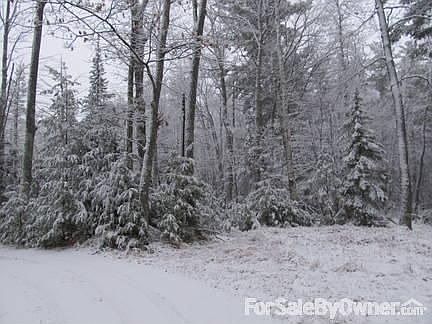 2nd image of 4730 Wild Rose Rd