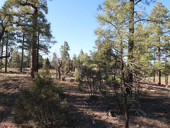 5th image of 4101 Flax Ln