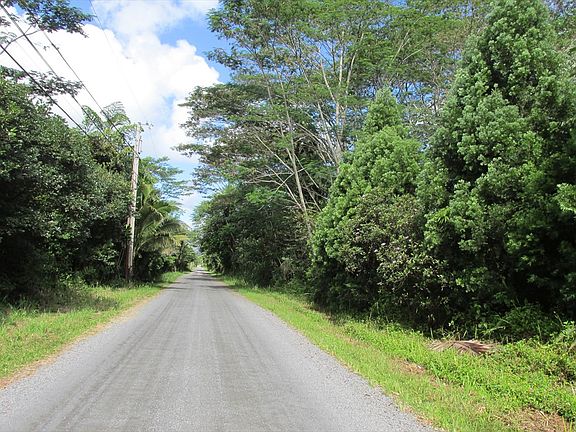 4th image of Lehua St Lot 6973