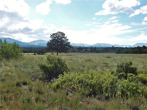 2nd image of 381 BRISTLECONE Lane