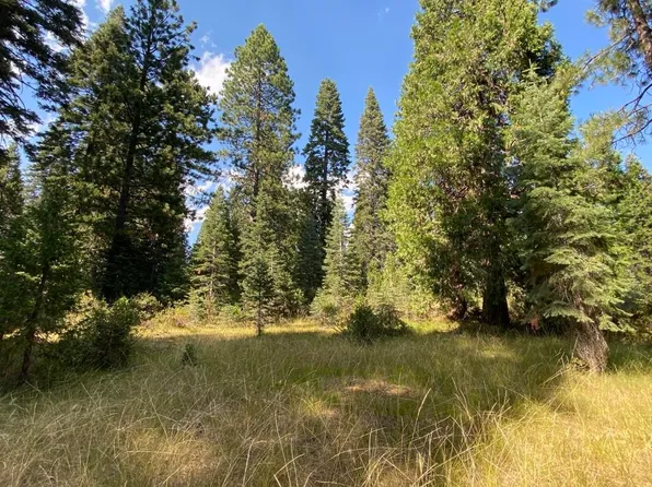 3-E-48 Red Fir Rd, McCloud, CA 96057
