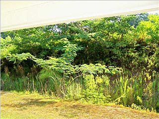 5th image of 4633 Smithfield Dr