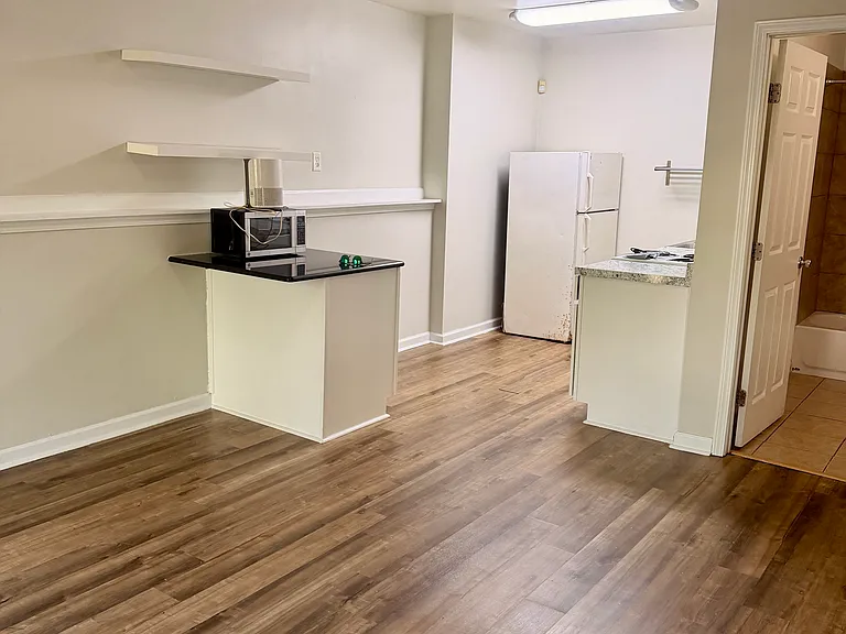 471 Pond Weed Dr #BASEMENT — Photo 5