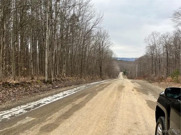 Cemetery Hill Rd #16, Franklinville, NY 14737