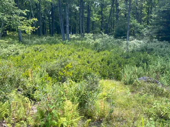 LOT-38B Woodlyn Acres Rd, Hawley, PA 18428