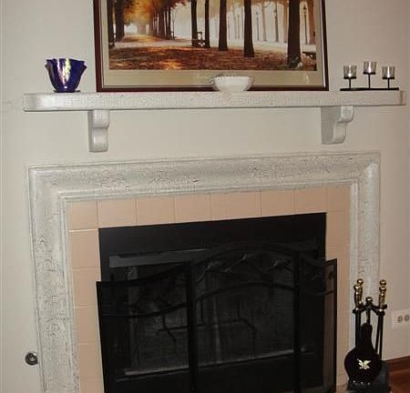 WOOD BURNING, GAS STARTER FIREPLACE