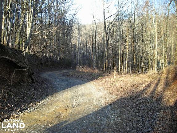 Bull Gap Road. Property to right.