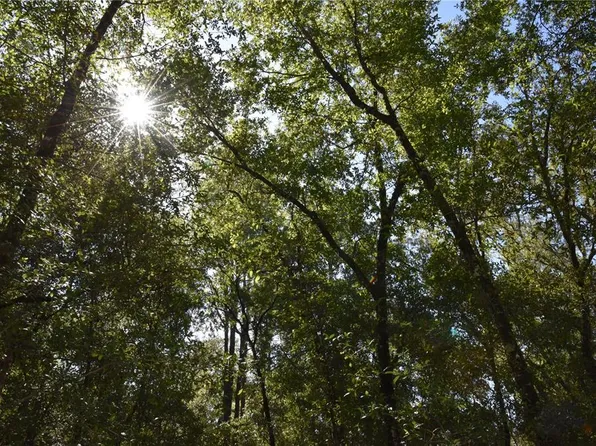 11th St Lot 8, Interlachen, FL 32148