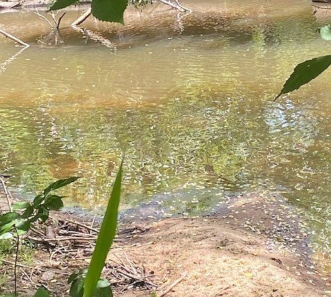 4th image of 123 Bend Of River Ln
