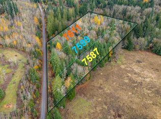 7599 Bobcat Ln, Sumas, WA 98266