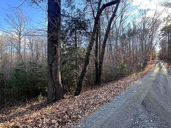 3rd image of 0 Buggy Ln