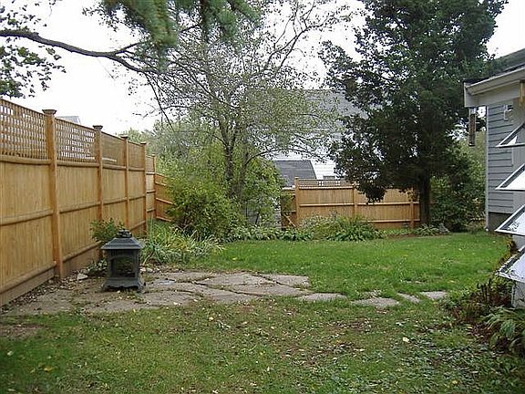 Back yard 2