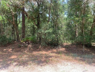 112 New Jersey Street, Satsuma FL - Owner Finance Home