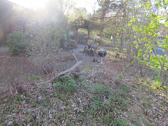 front garden looking west