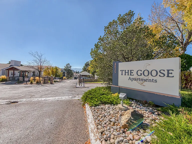 The Goose