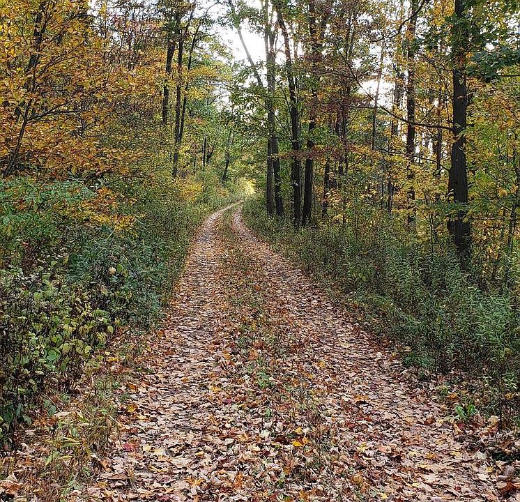 LOT 5A Saint Johns Rock Rd, Frostburg, MD 21532 MLS MDGA135240 Zillow