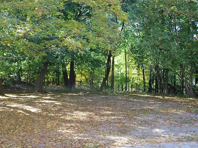 Back Yard and Parking