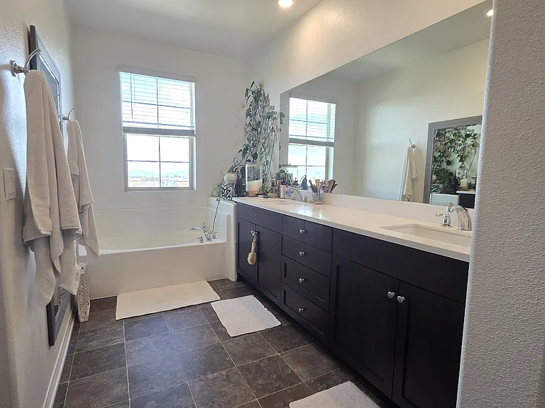 master tub- dual sink