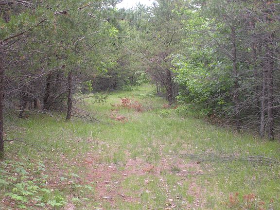 Trail through property