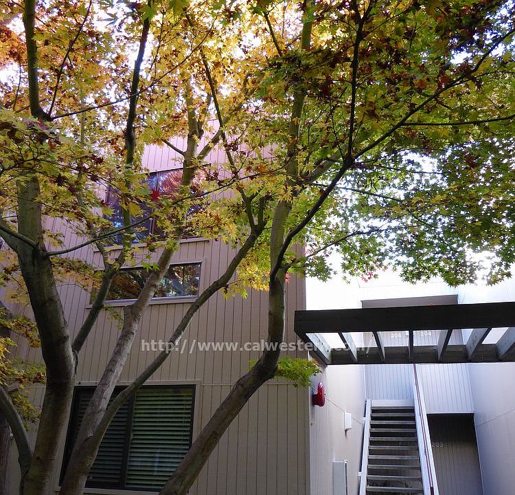 1st image of 928 Wright Ave APT 206