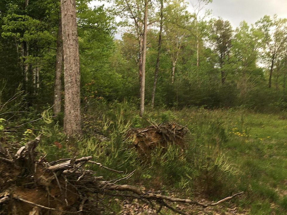 2nd image of 660 Jim Garrett Rd Lot 8