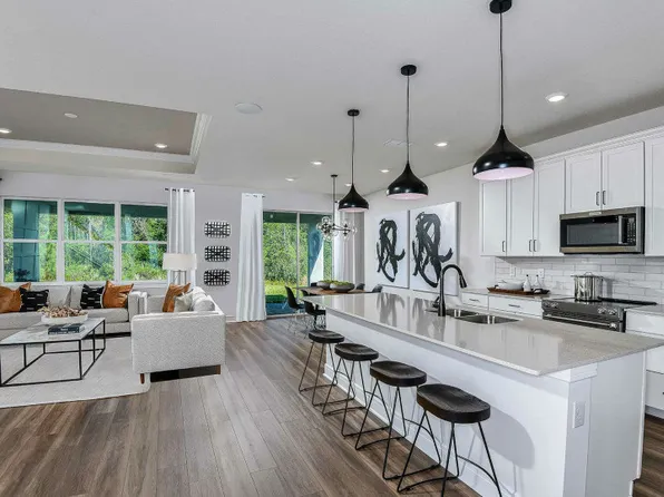 6565 Blazing Spirit St, Wesley Chapel, FL 33545